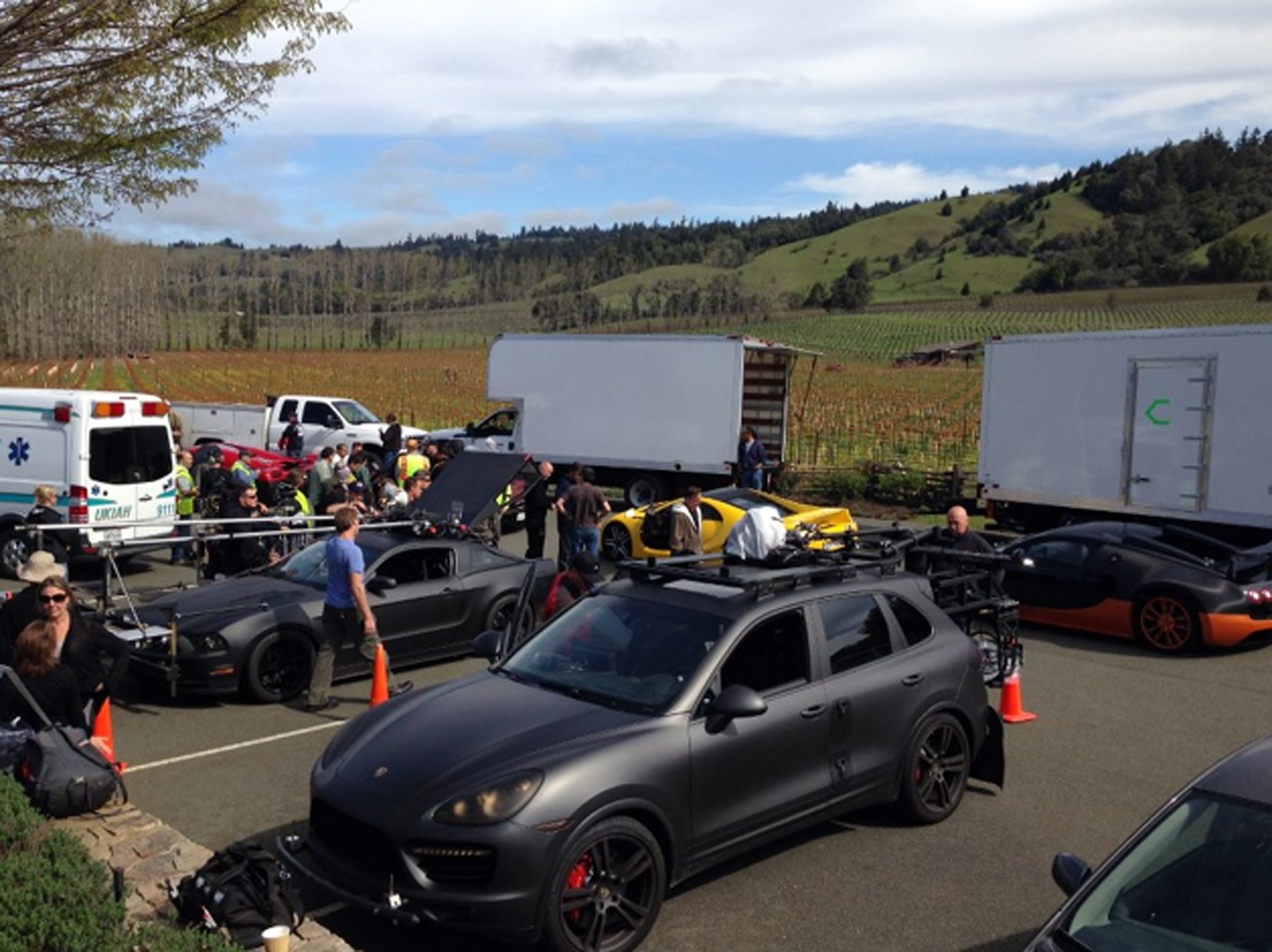 Click to view the image in full size!