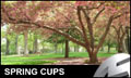 ESL Spring Cups